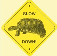 Slow Down